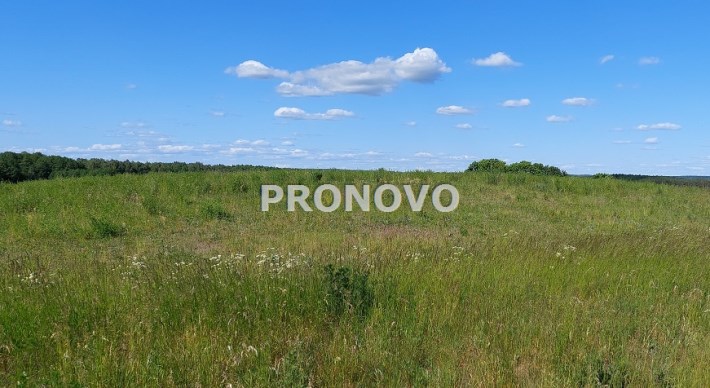 łąki i pastwiska