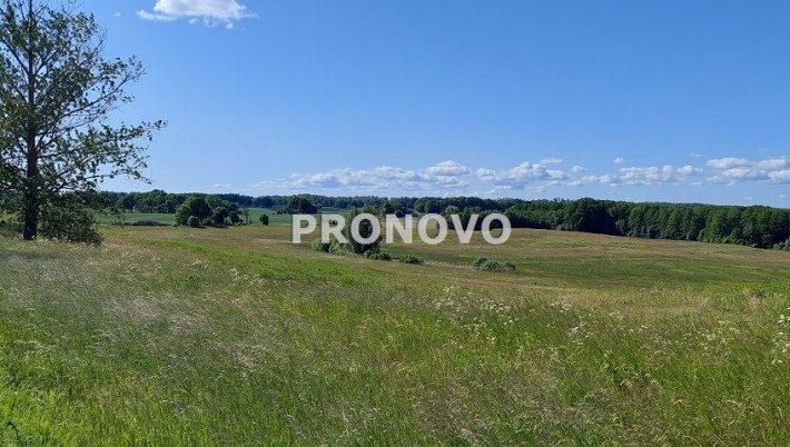 łąki i pastwiska