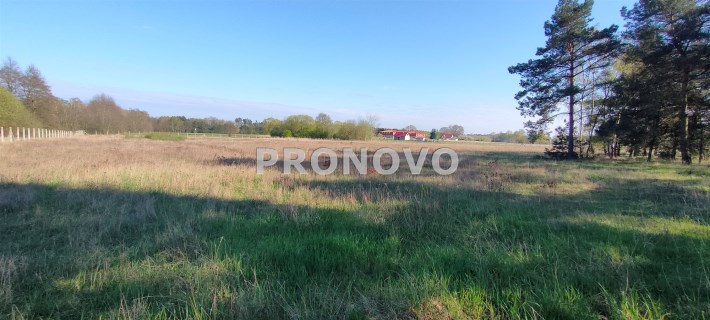 Stawno nieruchomość gruntowa