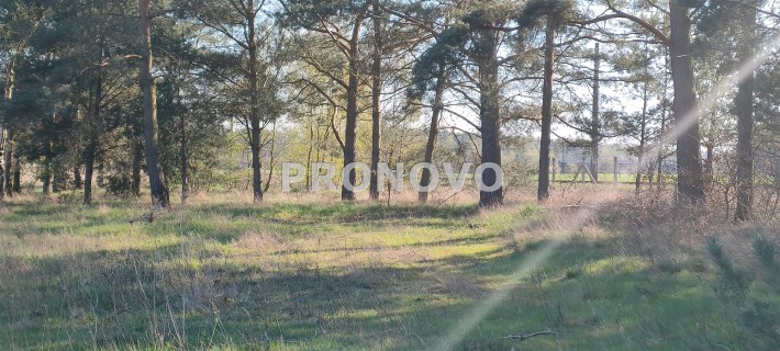 Stawno k/Kamienia Pomorskiego