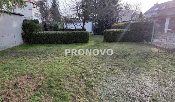 ogród