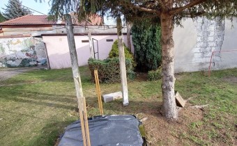 ogród