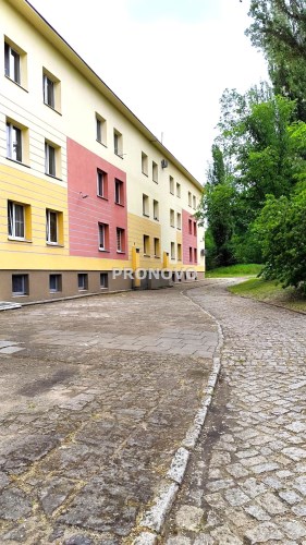 elewacja