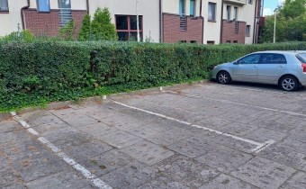 podwórko