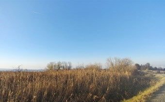 Lubczyna ścieżka rowerowa