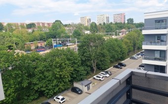 widok