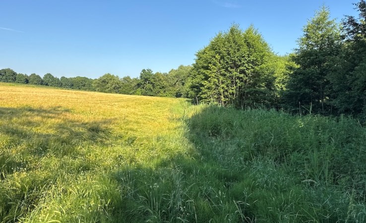 działka na sprzedaż - Oborniki Śląskie, Borkowice