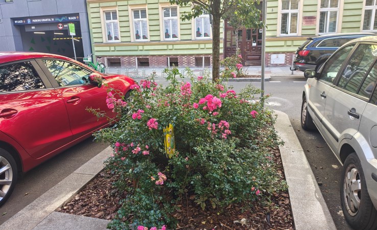 mieszkanie na sprzedaż - Szczecin, Małkowskiego